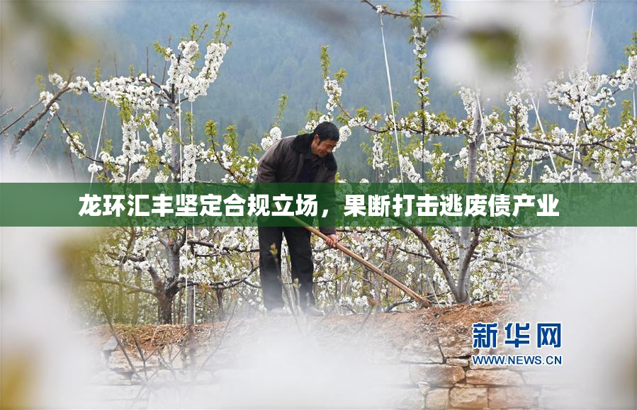 龙环汇丰坚定合规立场，果断打击逃废债产业