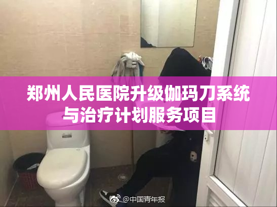 郑州人民医院升级伽玛刀系统与治疗计划服务项目