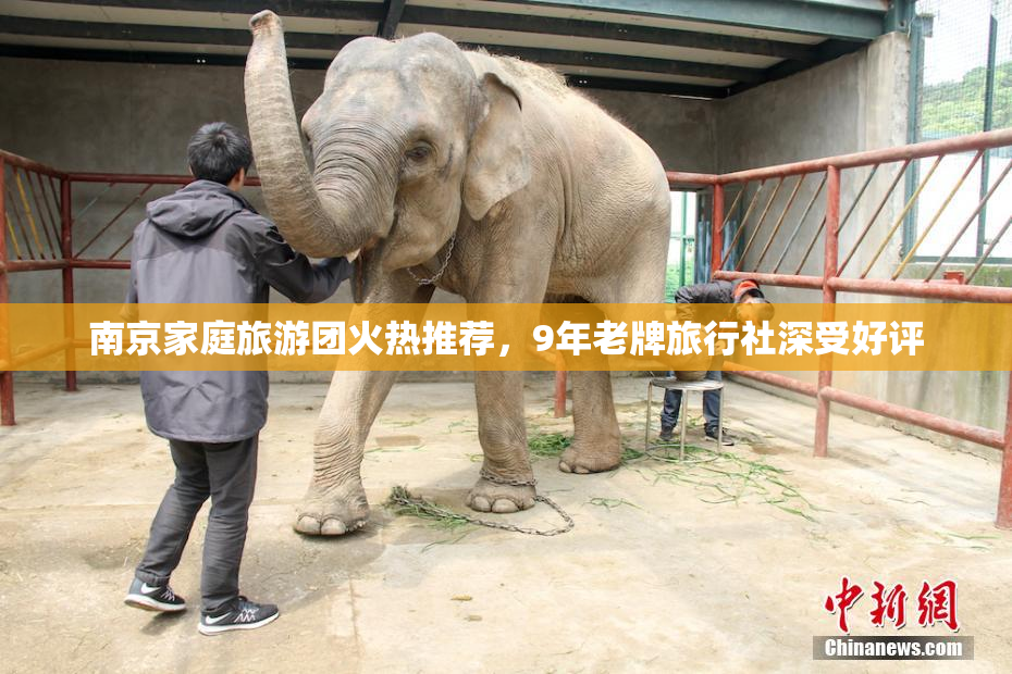 南京家庭旅游团火热推荐，9年老牌旅行社深受好评