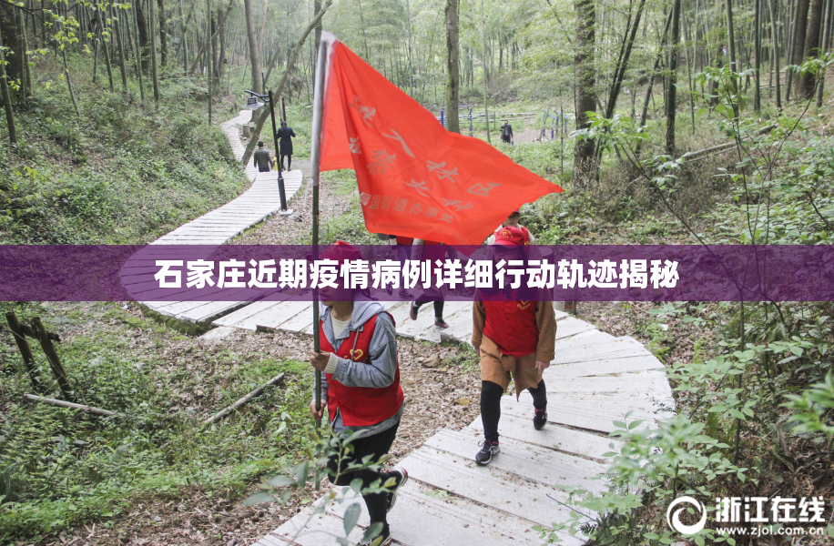 石家庄近期疫情病例详细行动轨迹揭秘