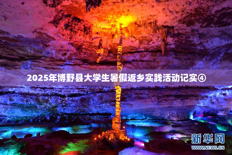 2025年博野县大学生暑假返乡实践活动记实④