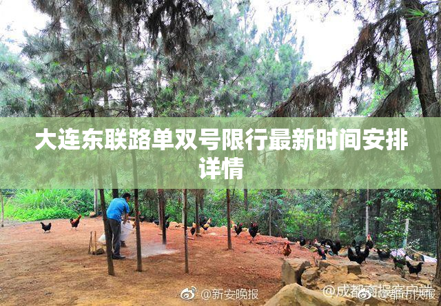大连东联路单双号限行最新时间安排详情