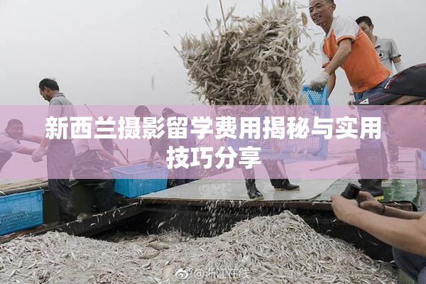新西兰摄影留学费用揭秘与实用技巧分享