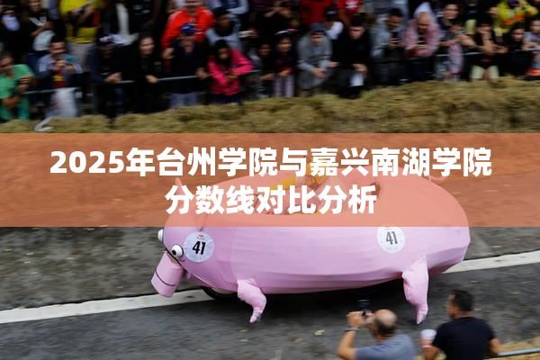 2025年台州学院与嘉兴南湖学院分数线对比分析