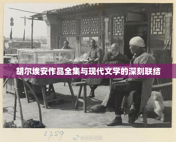 胡尔埃安作品全集与现代文学的深刻联结