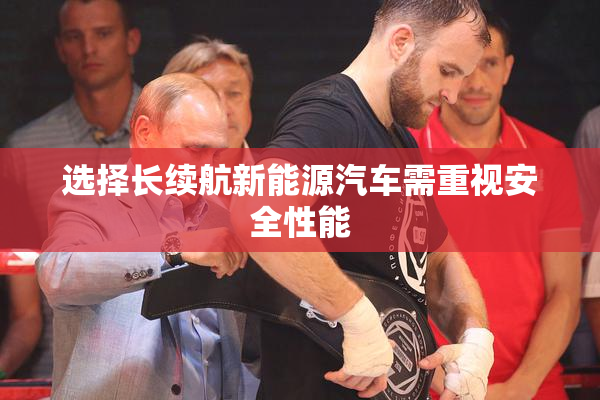 选择长续航新能源汽车需重视安全性能
