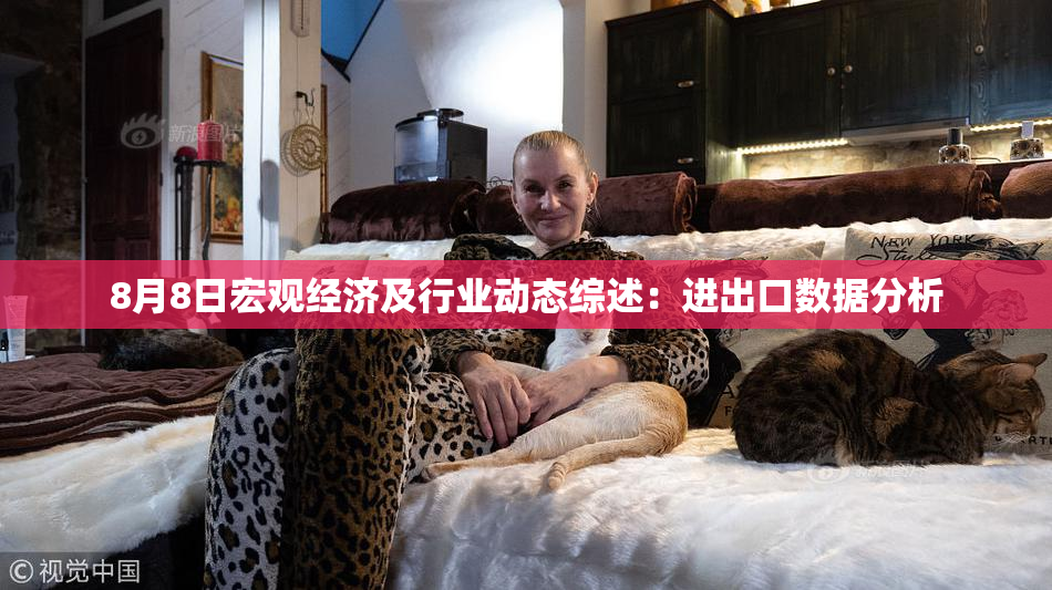 8月8日宏观经济及行业动态综述：进出口数据分析
