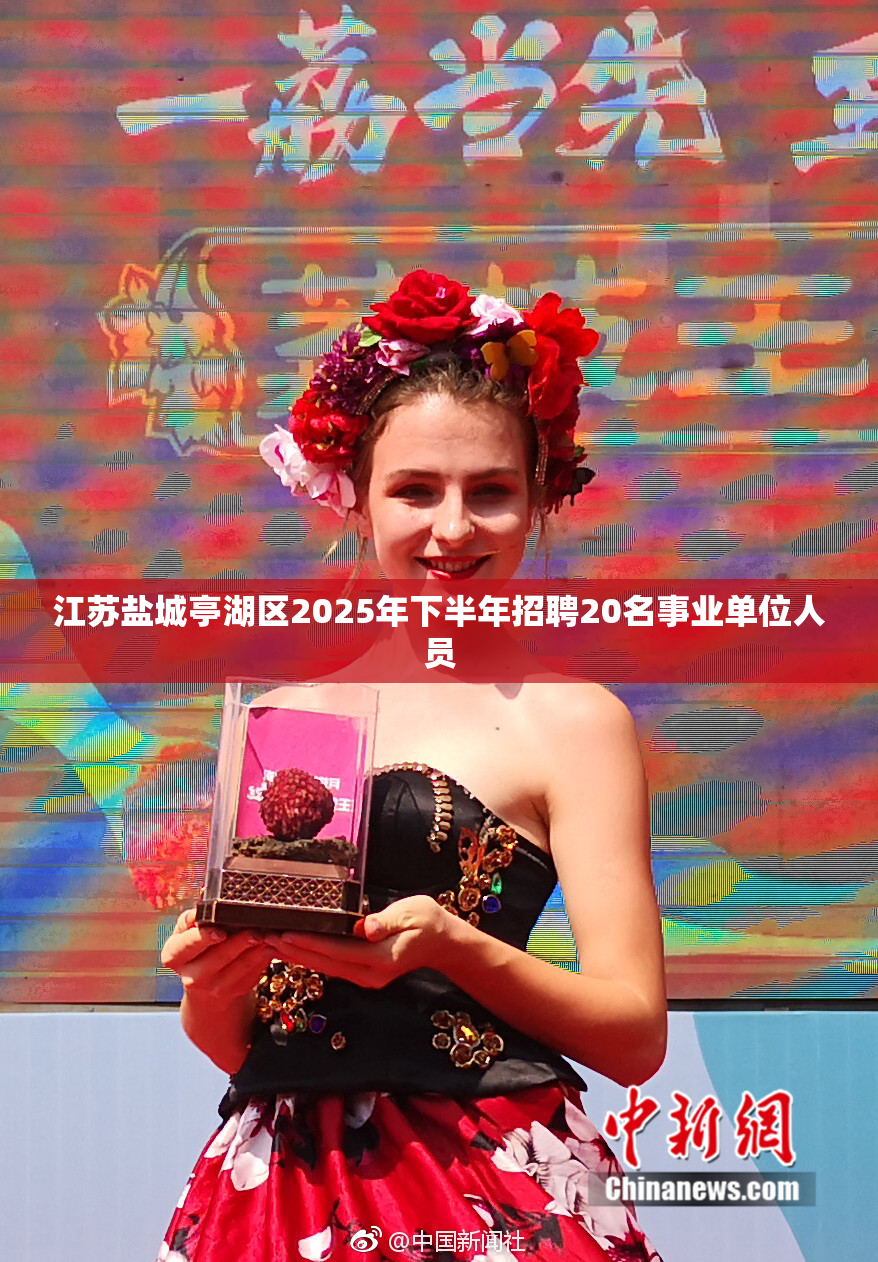 江苏盐城亭湖区2025年下半年招聘20名事业单位人员