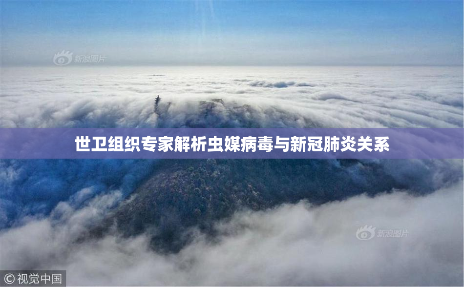 世卫组织专家解析虫媒病毒与新冠肺炎关系