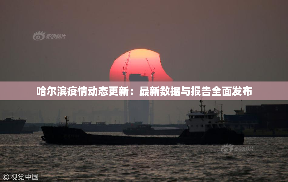 哈尔滨疫情动态更新：最新数据与报告全面发布