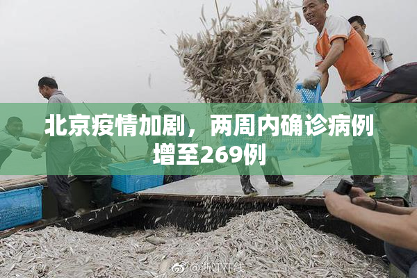 北京疫情加剧，两周内确诊病例增至269例