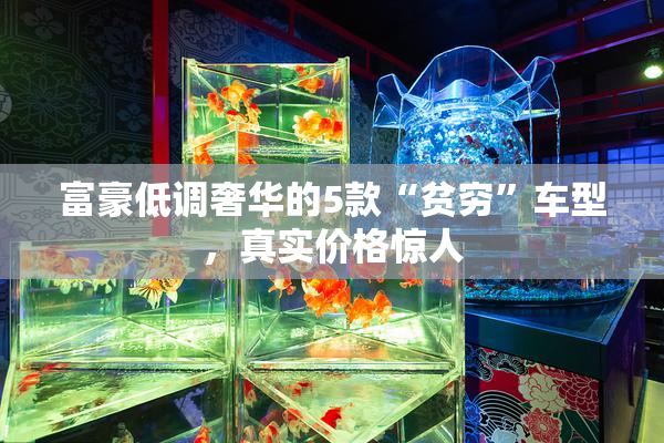 富豪低调奢华的5款“贫穷”车型，真实价格惊人