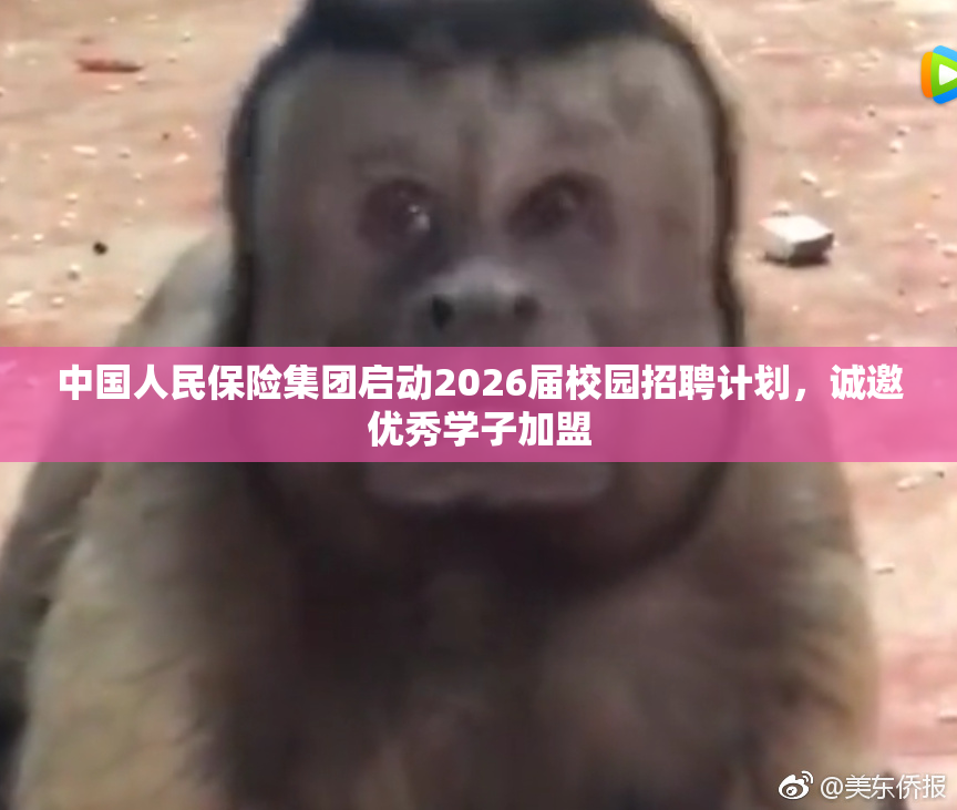 中国人民保险集团启动2026届校园招聘计划，诚邀优秀学子加盟