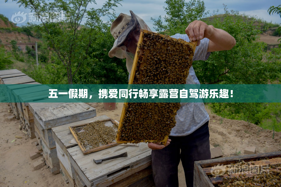 五一假期，携爱同行畅享露营自驾游乐趣！