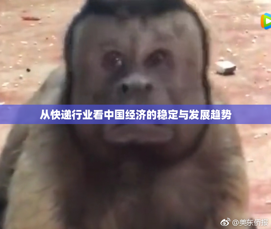 从快递行业看中国经济的稳定与发展趋势