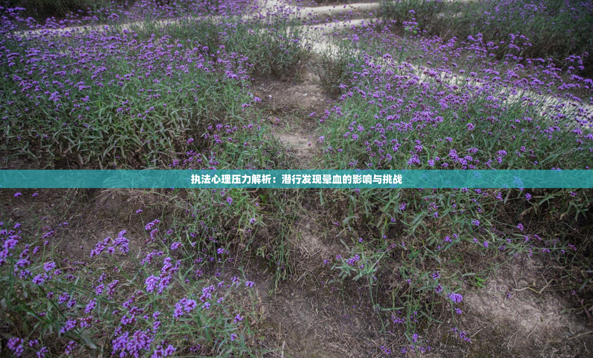 执法心理压力解析：潜行发现晕血的影响与挑战