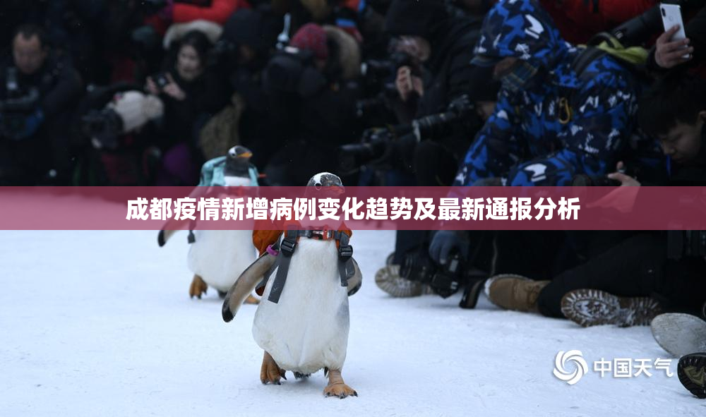 成都疫情新增病例变化趋势及最新通报分析