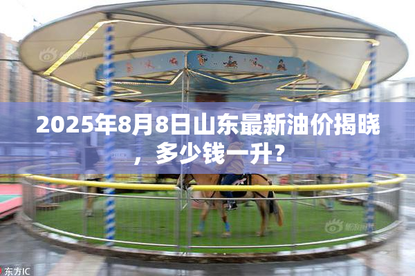 2025年8月8日山东最新油价揭晓，多少钱一升？