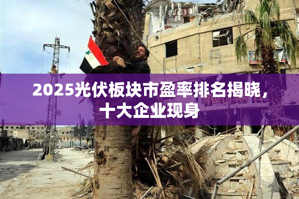 2025光伏板块市盈率排名揭晓，十大企业现身