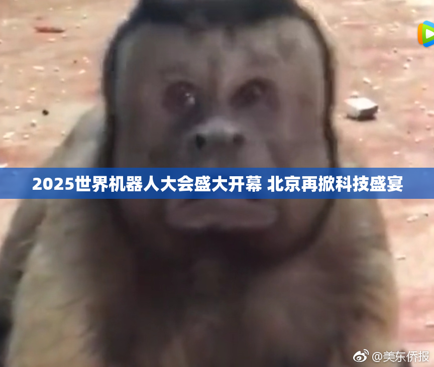 2025世界机器人大会盛大开幕 北京再掀科技盛宴