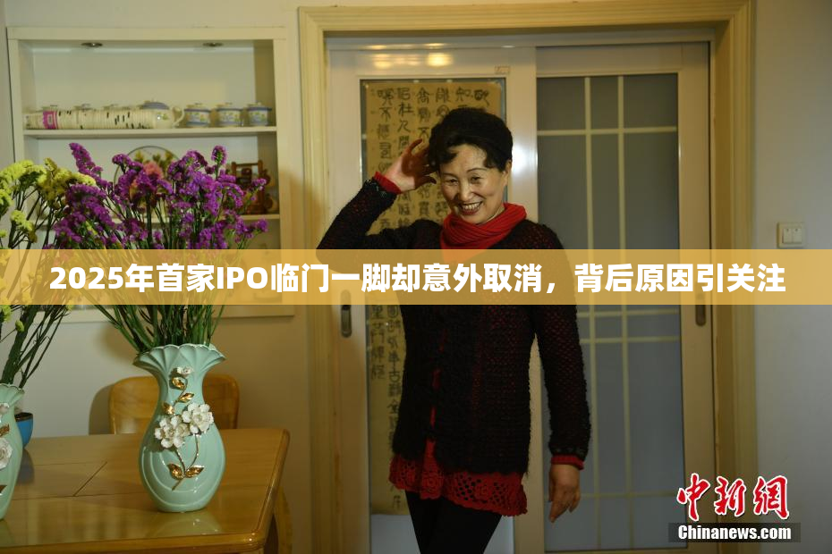2025年首家IPO临门一脚却意外取消，背后原因引关注