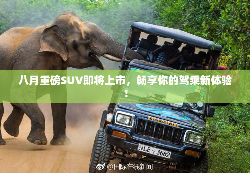 八月重磅SUV即将上市，畅享你的驾乘新体验！