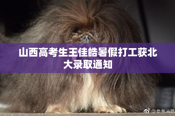 山西高考生王佳皓暑假打工获北大录取通知
