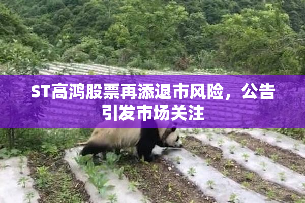ST高鸿股票再添退市风险，公告引发市场关注