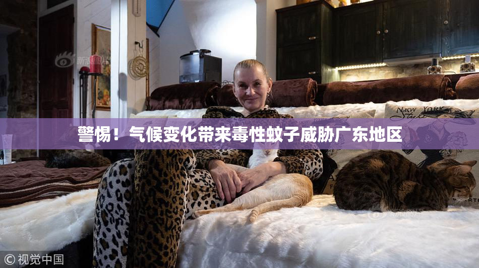 警惕！气候变化带来毒性蚊子威胁广东地区