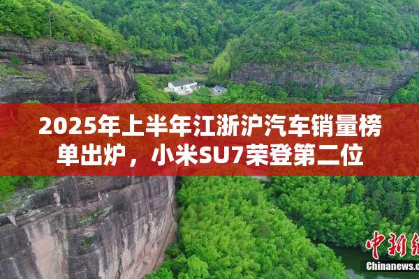 2025年上半年江浙沪汽车销量榜单出炉，小米SU7荣登第二位