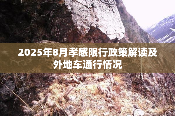 2025年8月孝感限行政策解读及外地车通行情况