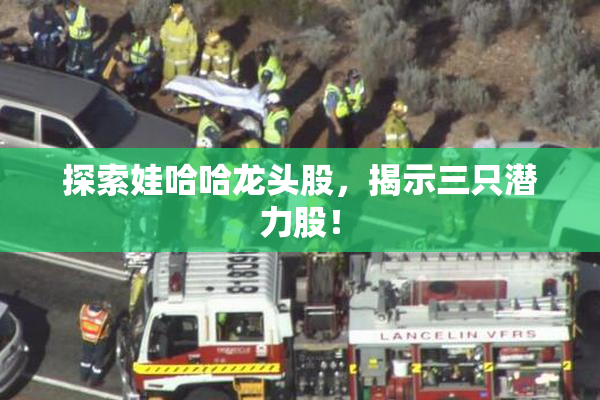 探索娃哈哈龙头股，揭示三只潜力股！
