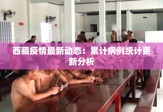 西藏疫情最新动态：累计病例统计更新分析