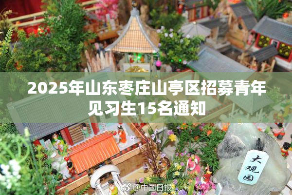 2025年山东枣庄山亭区招募青年见习生15名通知