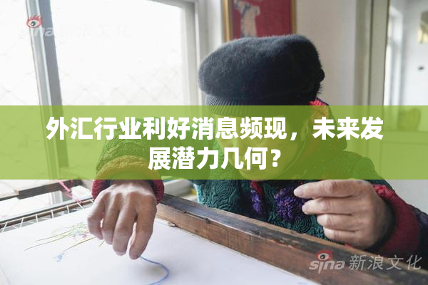外汇行业利好消息频现，未来发展潜力几何？