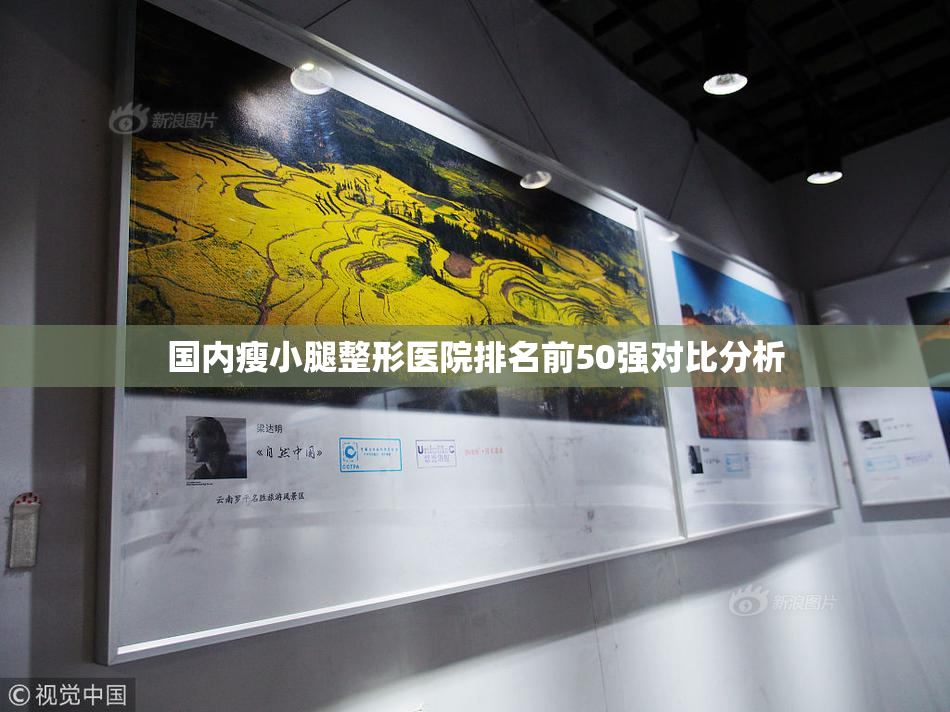 国内瘦小腿整形医院排名前50强对比分析