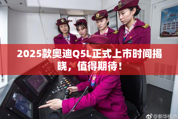 2025款奥迪Q5L正式上市时间揭晓，值得期待！