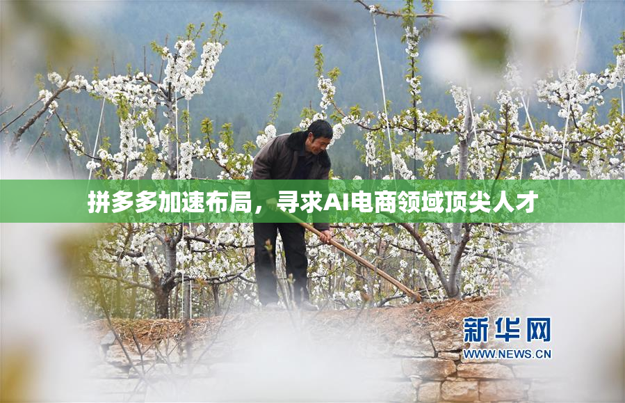 拼多多加速布局，寻求AI电商领域顶尖人才