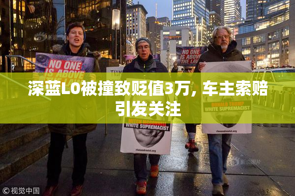 深蓝L0被撞致贬值3万, 车主索赔引发关注