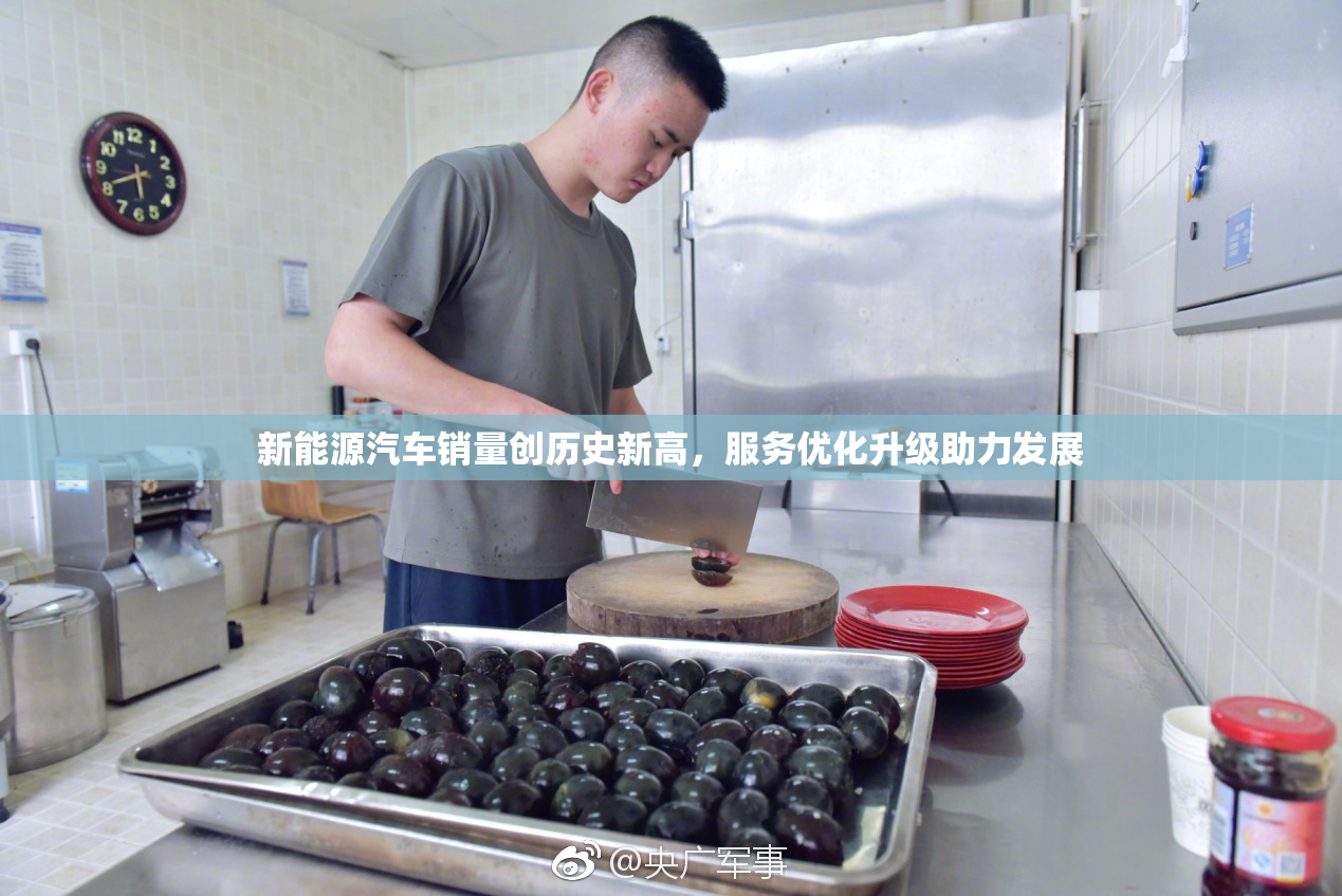 新能源汽车销量创历史新高，服务优化升级助力发展