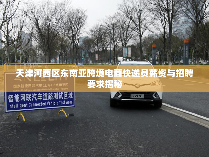 天津河西区东南亚跨境电商快递员薪资与招聘要求揭秘