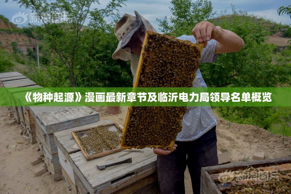 《物种起源》漫画最新章节及临沂电力局领导名单概览
