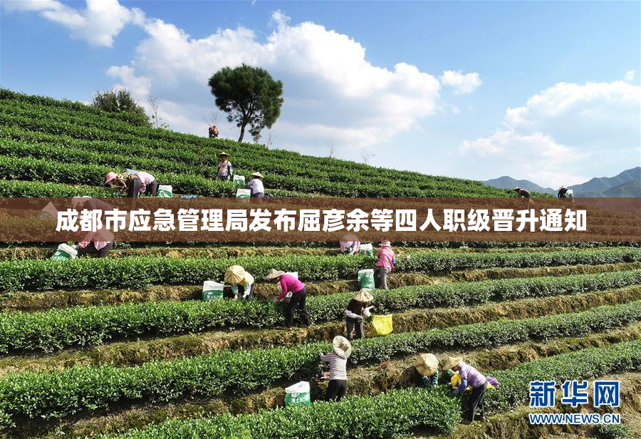 成都市应急管理局发布屈彦余等四人职级晋升通知