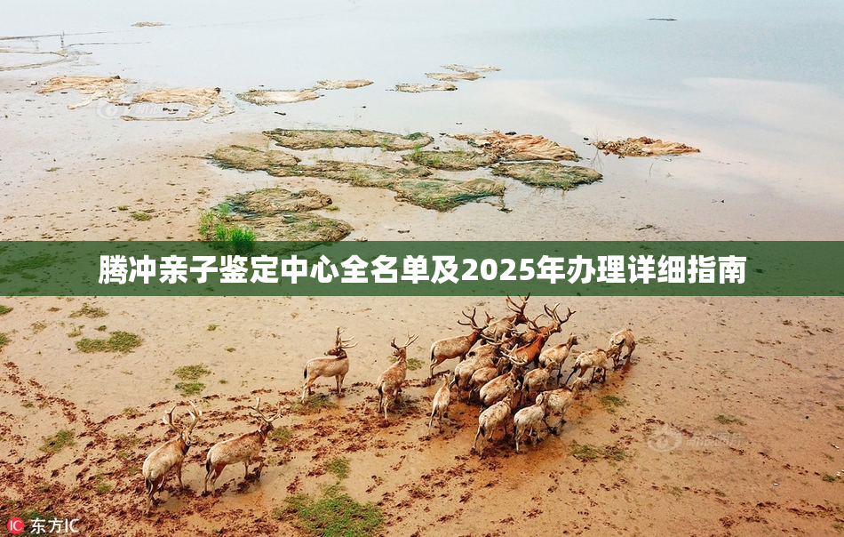 腾冲亲子鉴定中心全名单及2025年办理详细指南