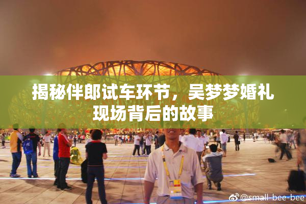 揭秘伴郎试车环节，吴梦梦婚礼现场背后的故事