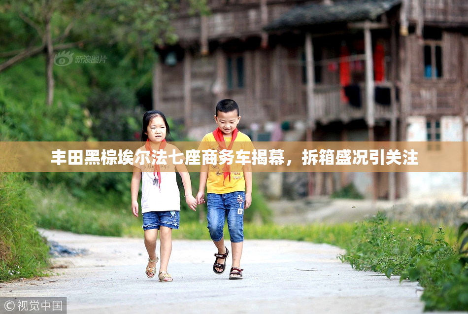 丰田黑棕埃尔法七座商务车揭幕，拆箱盛况引关注