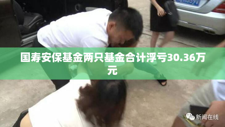 国寿安保基金两只基金合计浮亏30.36万元