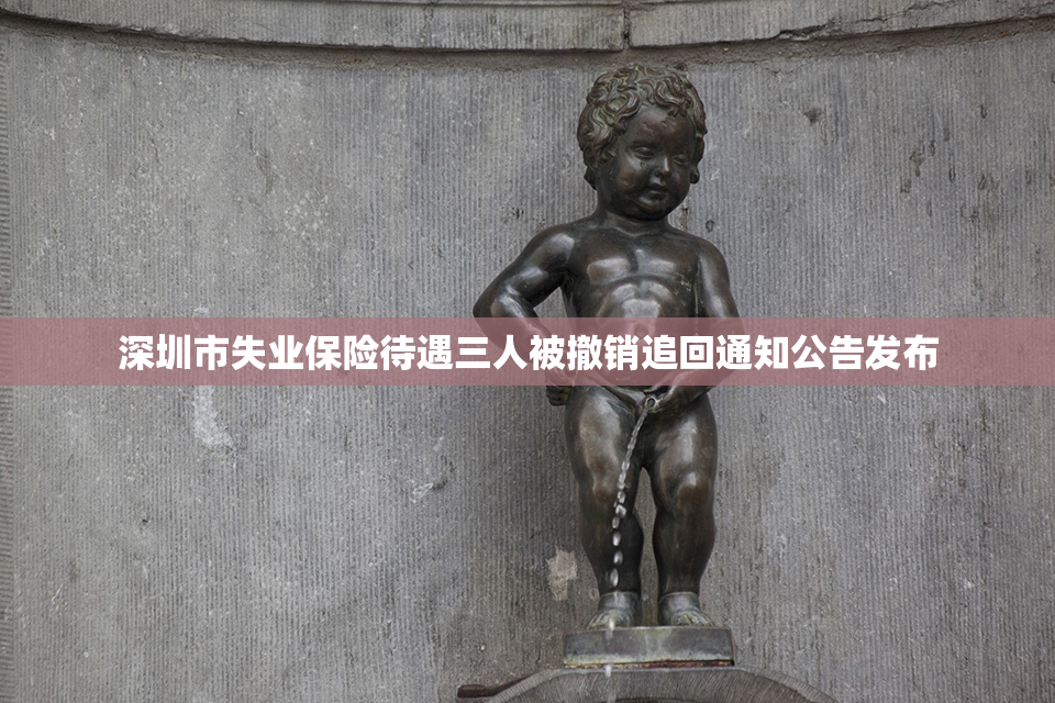 深圳市失业保险待遇三人被撤销追回通知公告发布