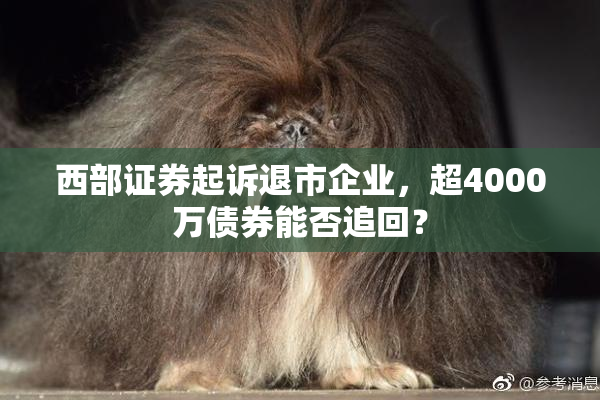西部证券起诉退市企业，超4000万债券能否追回？