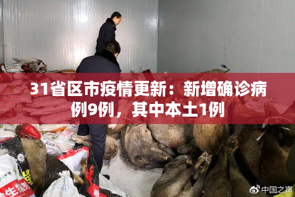 31省区市疫情更新：新增确诊病例9例，其中本土1例